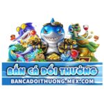 logo-ban-ca-doi-thuong