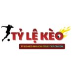 logo_tylekeo_1-1-e1767941924444