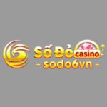logo-sodo6vn-270x80-1