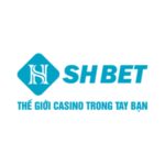 SHBET_NewColor1-1-300x111-1