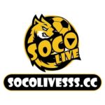 Logo-1