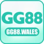 logo-3