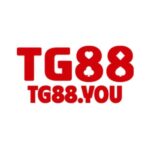 tg88you-avatar
